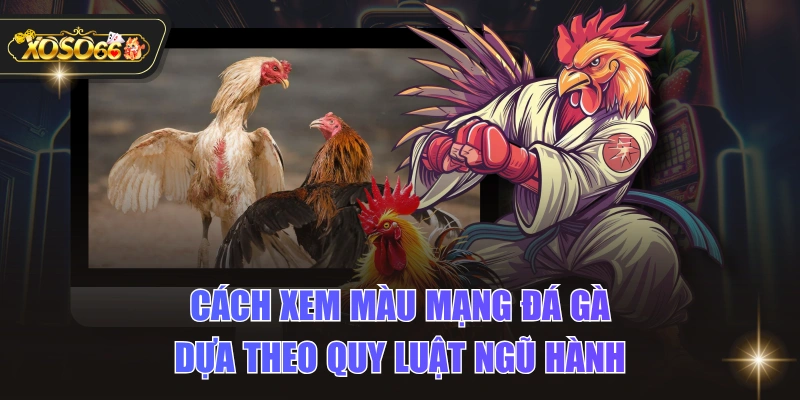 Cách Xem Màu Mạng Đá Gà Dựa Theo Quy Luật Ngũ Hành 1 Cách Xem Màu Mạng Đá Gà Dựa Theo Quy Luật Ngũ Hành Cách Xem Màu Mạng Đá Gà Dựa Theo Quy Luật Ngũ Hành